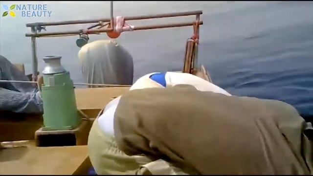 Топ 5 Крупных Рыб Выловленных В Море.Ловля Тунца и Акул смотреть онлайн