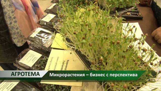 Агротема: Микрорастения – бизнес с перспектива, автор: Анета Божидарова смотреть онлайн