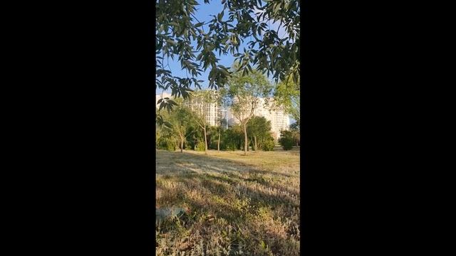 НОВАЯ ПРИЧЕСКА/ОБРЕЗАЛИ ДЛИННЫЕ ВОЛОСЫ/ПРЕЗИДЕНТСКИЙ ПАРК/ОТДЫХ/ПРИРОДА/ФОНТАН/ДОСТОПРИМЕЧАТЕЛЬНОСТ смотреть онлайн