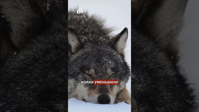 VID-20231011-WA0028.mp4 смотреть онлайн