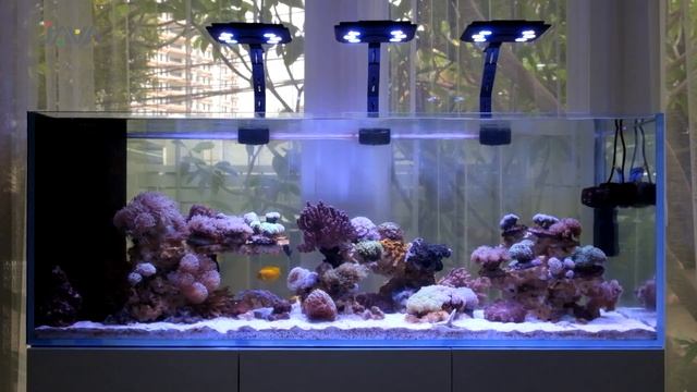 6 INOVASI MARINE TANK DI 2023! смотреть онлайн