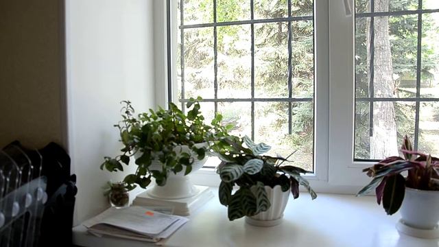 Рассказ про Альбину смотреть онлайн