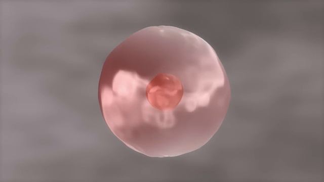 Cells for Kids | Learn about cell structure and function in this engaging and fun intro to cells смотреть онлайн
