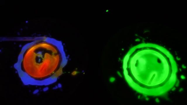 Что внутри светяшек?? Режу Светяшки купленные на Amazon смотреть онлайн