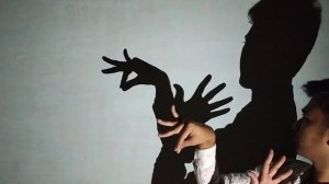 Hand shadow Performance III Make Animals By Hand shadow - Shadowgraphy - shadoes
