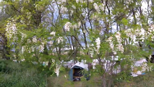 Перевозка пчёл на белую акацию 8 мая.Вентиляция Bee-Box, самодельная 2016. смотреть онлайн