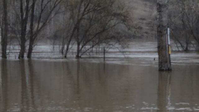 Аномальное половодье на реке Томь 26.04.2015