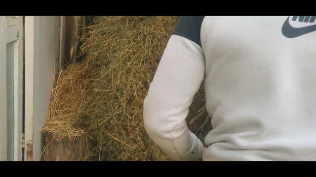 Простой способ набрать сено