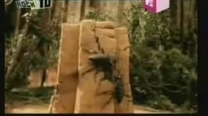 Rammstein - Links 234