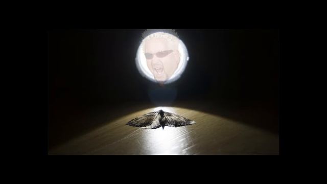 Tim Bendzko - Nur Noch Kurz Die Welt Retten