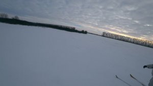 Тут много зайцев. Охота на зайца тропление по снегу 2022