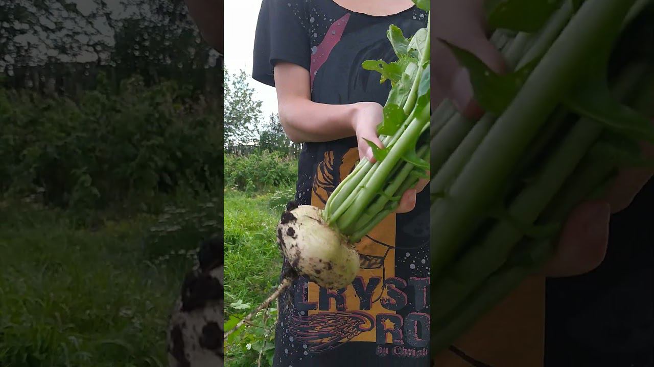 27 июля 2024 г. смотреть онлайн