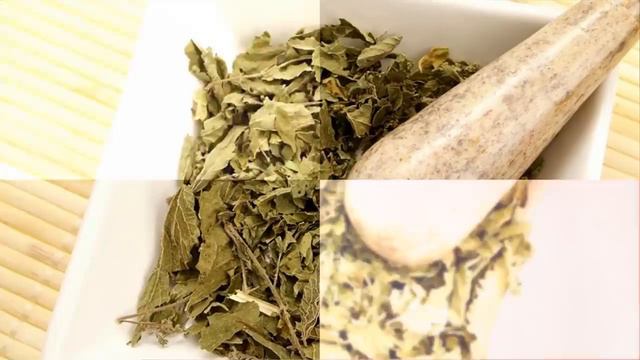 Несколько Секретов какие Болезни Лечит Крапива! Невероятно Мощные Целебные Свойства