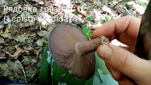 Учим Делать с Страстью