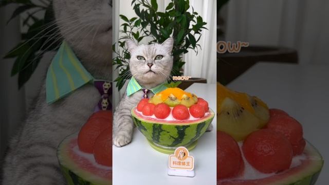 5 Creative Food Ideas by Chef Cat ChangAn | Homemade Food Recipe | Cute Cat Videos смотреть онлайн