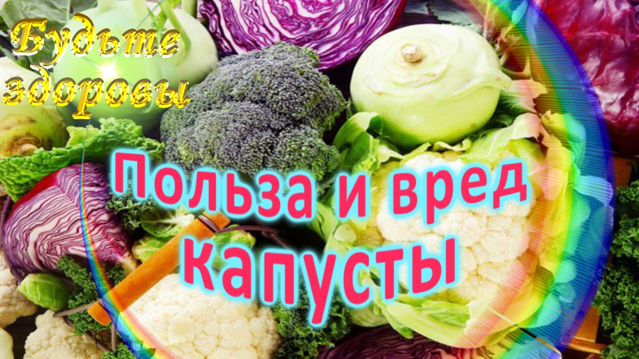 Польза и вред капусты смотреть онлайн