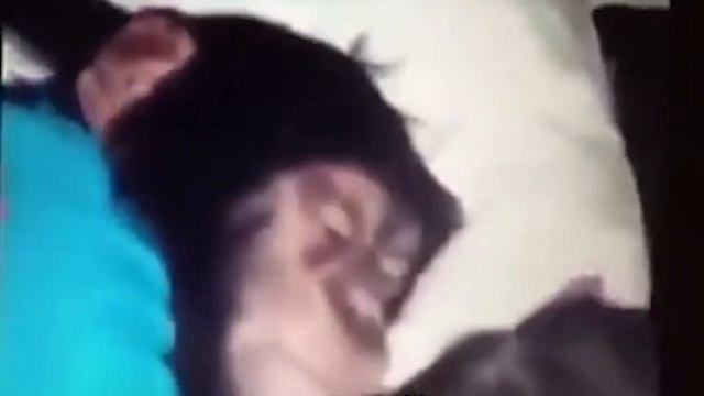 Проснись, Ержан... | CyberErjan смотреть онлайн