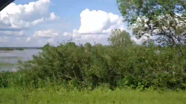 Такого я еще не видел: р.Москва, Воскресенская пойма, лето, дожди, разлив, июнь 2020 смотреть онлайн