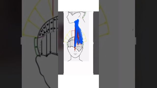 2 Как простричь пикси смотреть онлайн