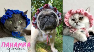 ПАНАМКА для КОТИКА и ПЁСИКА КРЮЧКОМ! Туториал.