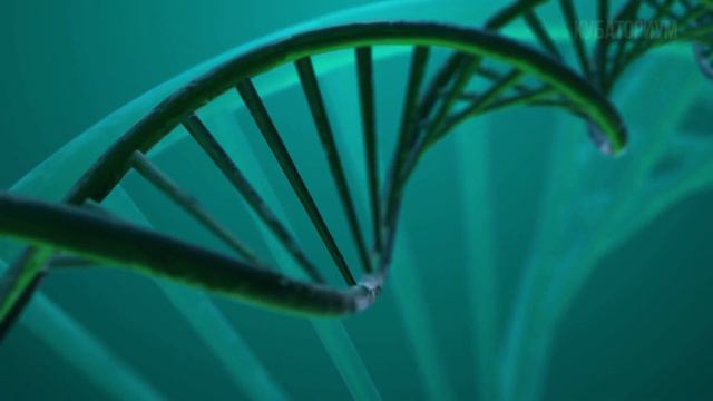 ВЕЧНАЯ МОЛОДОСТЬ. Это реально? смотреть онлайн