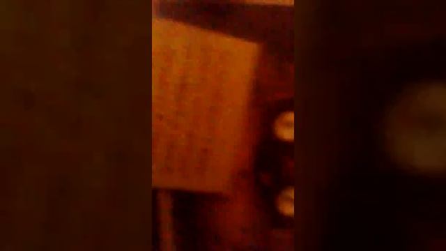 Обзор на книгу Five Nights at Freedys файлы фредди