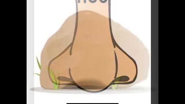 Правила чтения. Буква О в открытом слоге