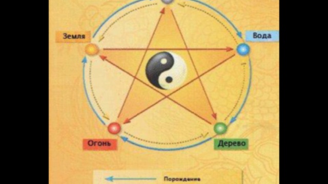 1. Введение в иглотерапию смотреть онлайн