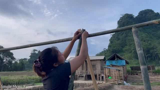 Single Mom - Build a Bamboo Truss for Climbing Beans & Pick Vegetables, Banana Leaves to Sell #diy смотреть онлайн