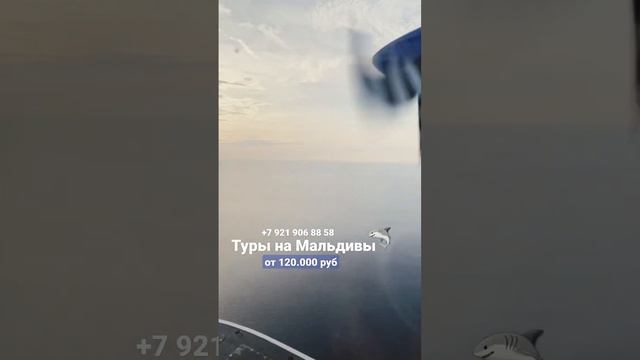 Полетели на Мальдивы ? смотреть онлайн