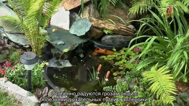 Почему россияне любят майские грозы - отвечает пульмонолог смотреть онлайн