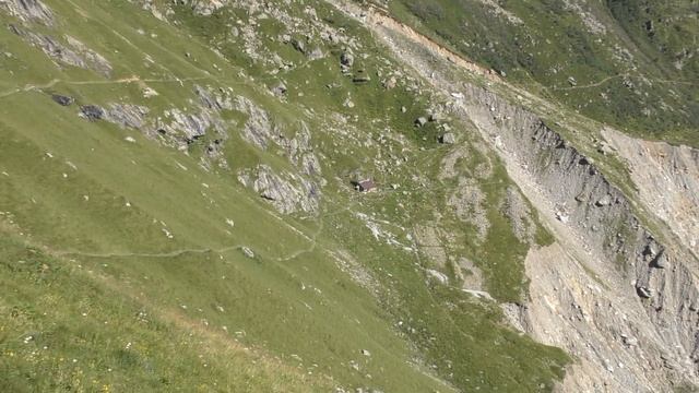 GRINDELWALD 2020 эдельвейсы на альпийских лугах... смотреть онлайн