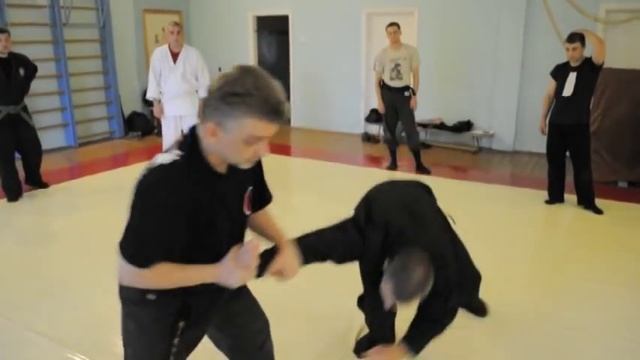 Bujinkan Ukraine Seminar June 2011 Kukishinden Ryu Kihon & Shoden смотреть онлайн