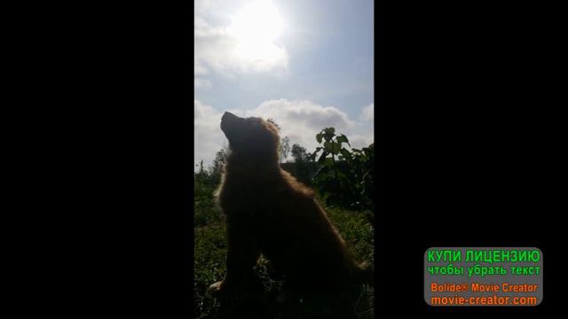 День Рождения Борща 2 месяца 28.08.19 смотреть онлайн
