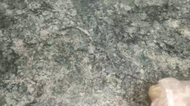 Фитнес для Женщин