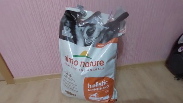 КАНЕ КОРСО В ДОМЕ. КОРМ ДЛЯ СОБАК. АКСЕССУАРЫ ДЛЯ СОБАК. Необходимые вещи для собак и кошек смотреть онлайн