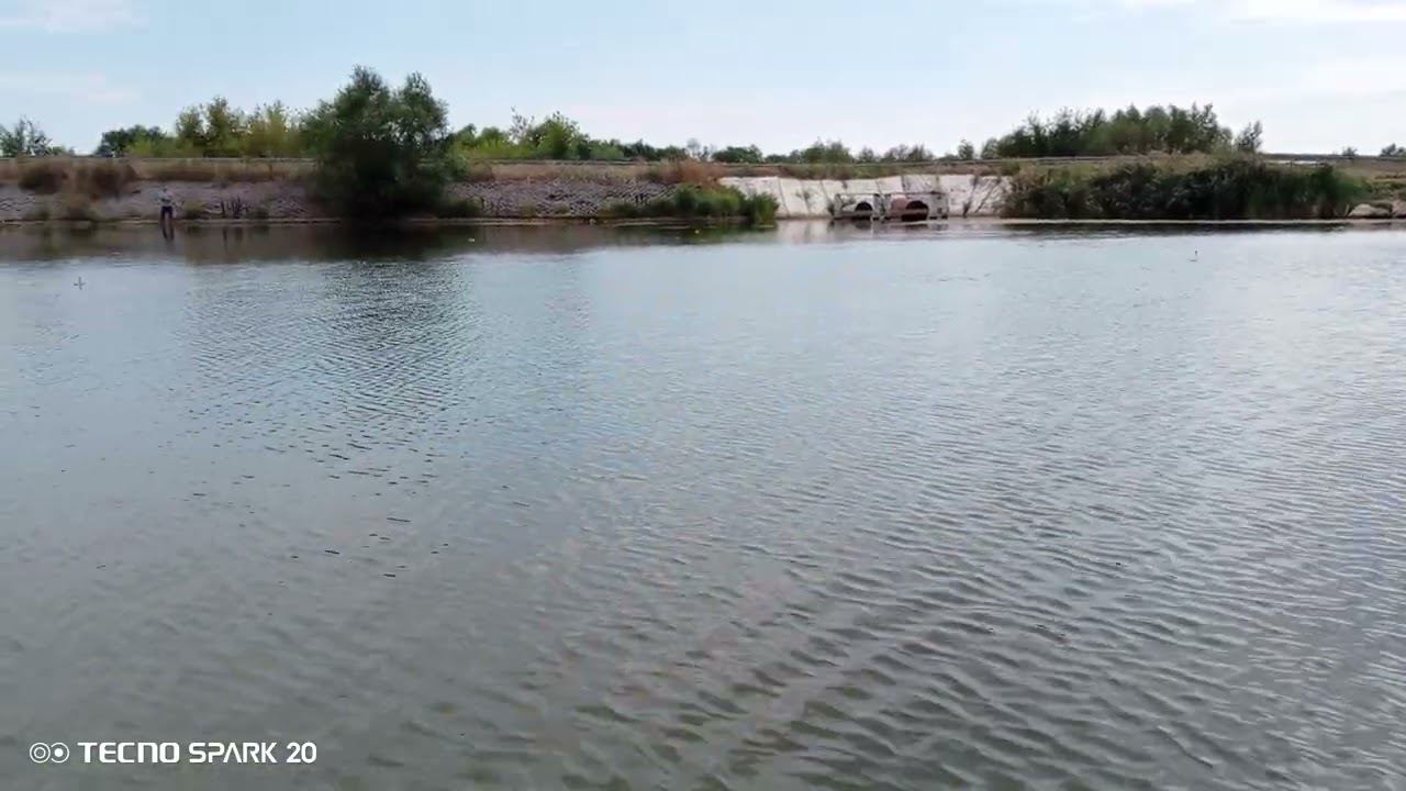 Рыбалка на кружки смотреть онлайн