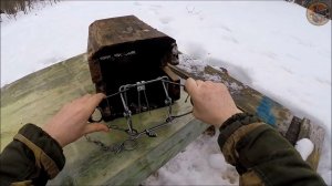 Капкан Bridger-120 MAGNUM. Охота на куницу капканами (Будни охотника и рыбака)