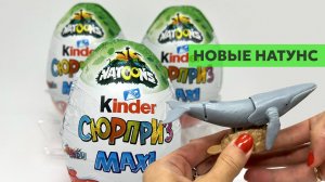 Новинка!! Киндер макси натунс. Старые обложки, но новая коллекция.