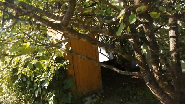 Дача Владивосток ул. Сопочная участок 15 дом 19 смотреть онлайн