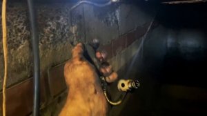 Замена турбины Ауди Q5 2.0 TFSI / Replacing turbo on Audi Q5 2.0 TFSI