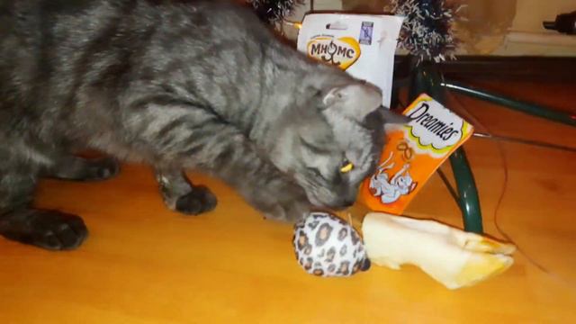 Новый Год в мире домашних животных! смотреть онлайн