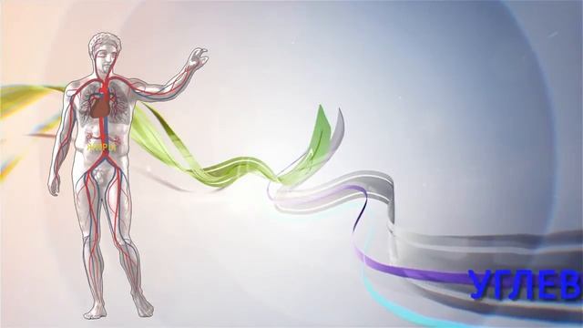 Калорийность продуктов питания смотреть онлайн