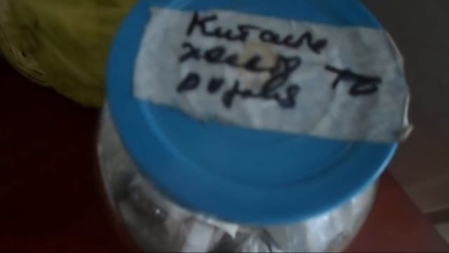 16. Стратификация - дело тонкое! Уборка листвы - глупость и расточительство! смотреть онлайн