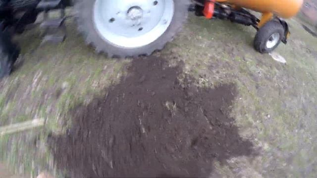 Посадил дерево в парке смотреть онлайн