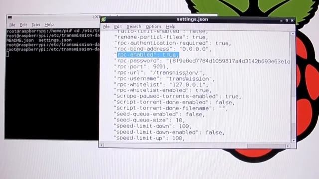 Raspberry Pi BT下載服務器下 國語 смотреть онлайн
