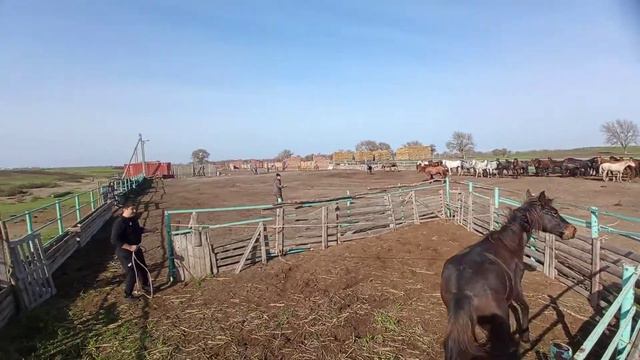 Карасу(Дагестан) смотреть онлайн