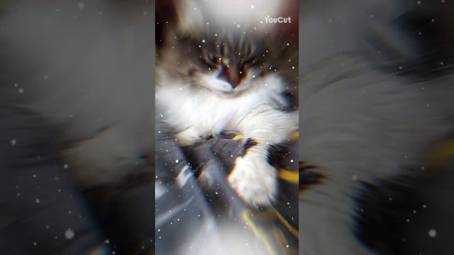 прикол