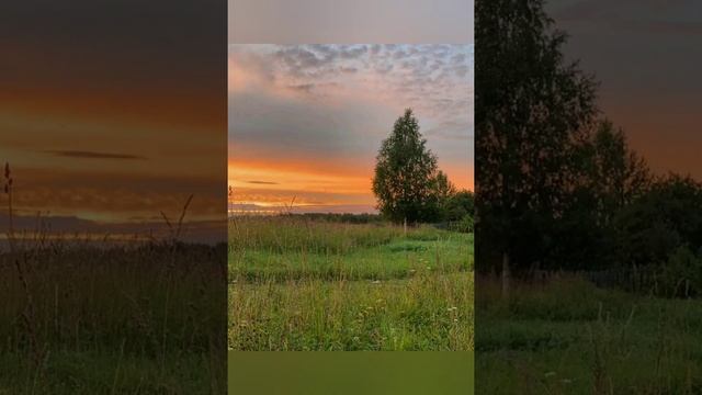 #27августа - Михеев день смотреть онлайн