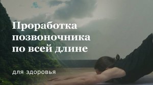 Йога для спины и позвоночника для начинающих